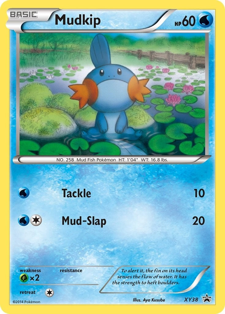 Mudkip - XY38 (XY38) (PR)