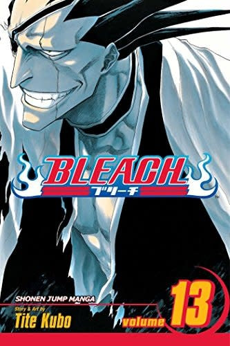 Bleach, Vol. 13 - Softcover