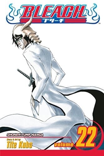 Bleach, Vol. 22 - Softcover