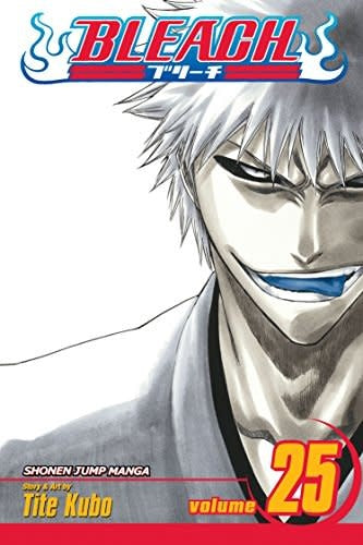 Bleach, Vol. 25 - Softcover
