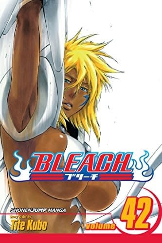 Bleach, Vol. 42 - Softcover