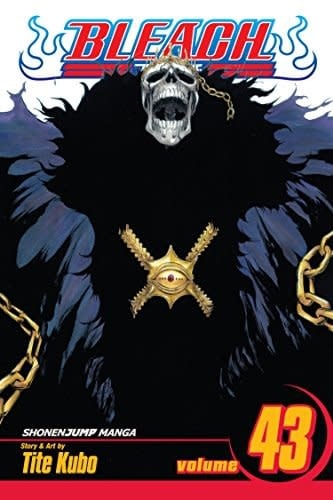 Bleach, Vol. 43 - Softcover