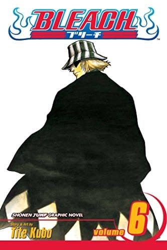 Bleach, Vol. 6 - Softcover