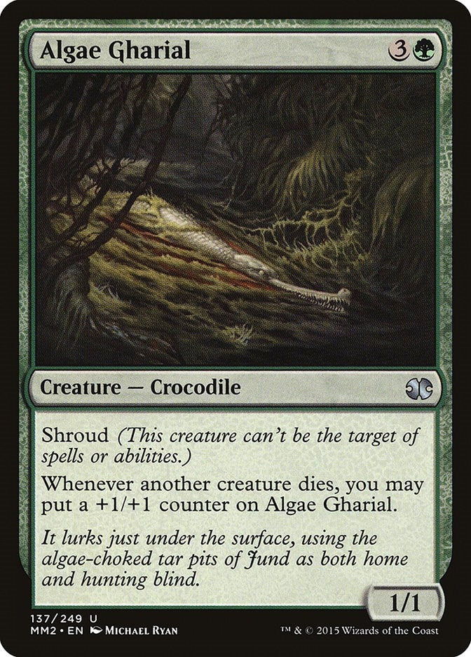 Algae Gharial (137) (MM2)